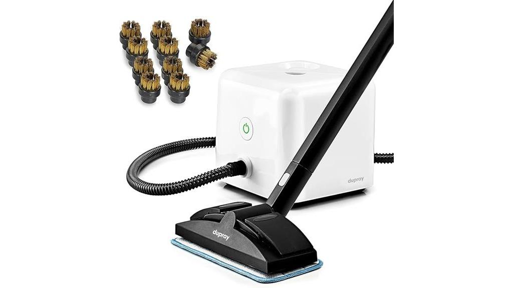 dupray neat steam cleaner