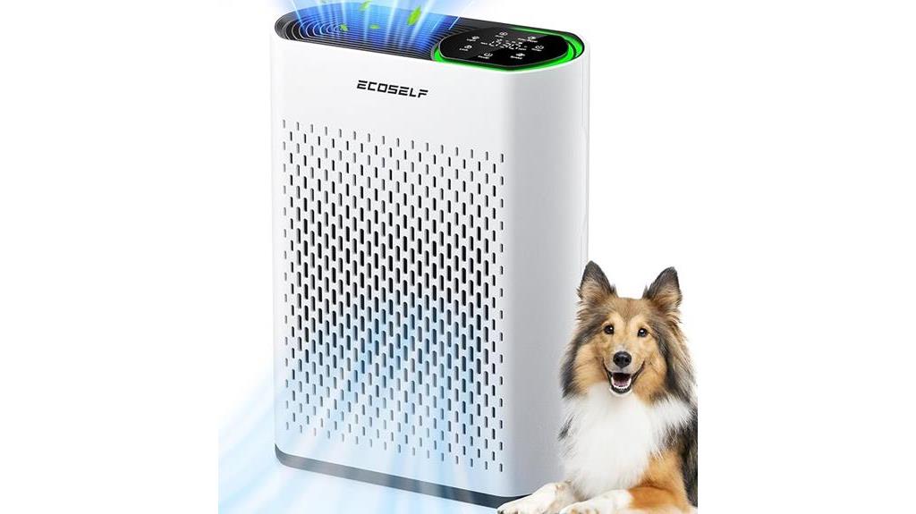 large room air purifier