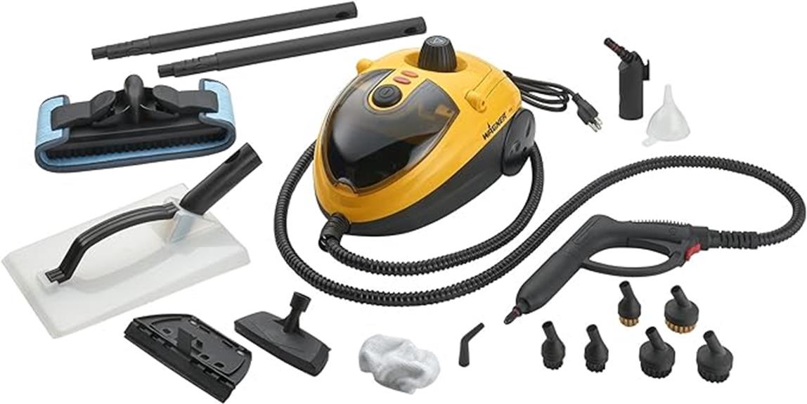 wagner on demand steam cleaner