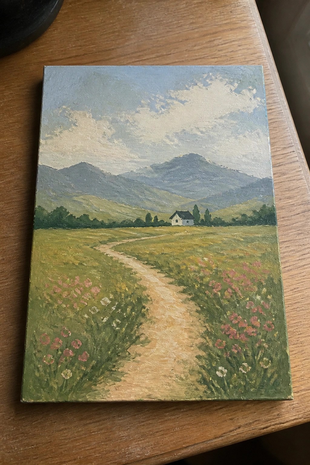 Winding path through wildflower meadow leads to house amid green hills and mountains