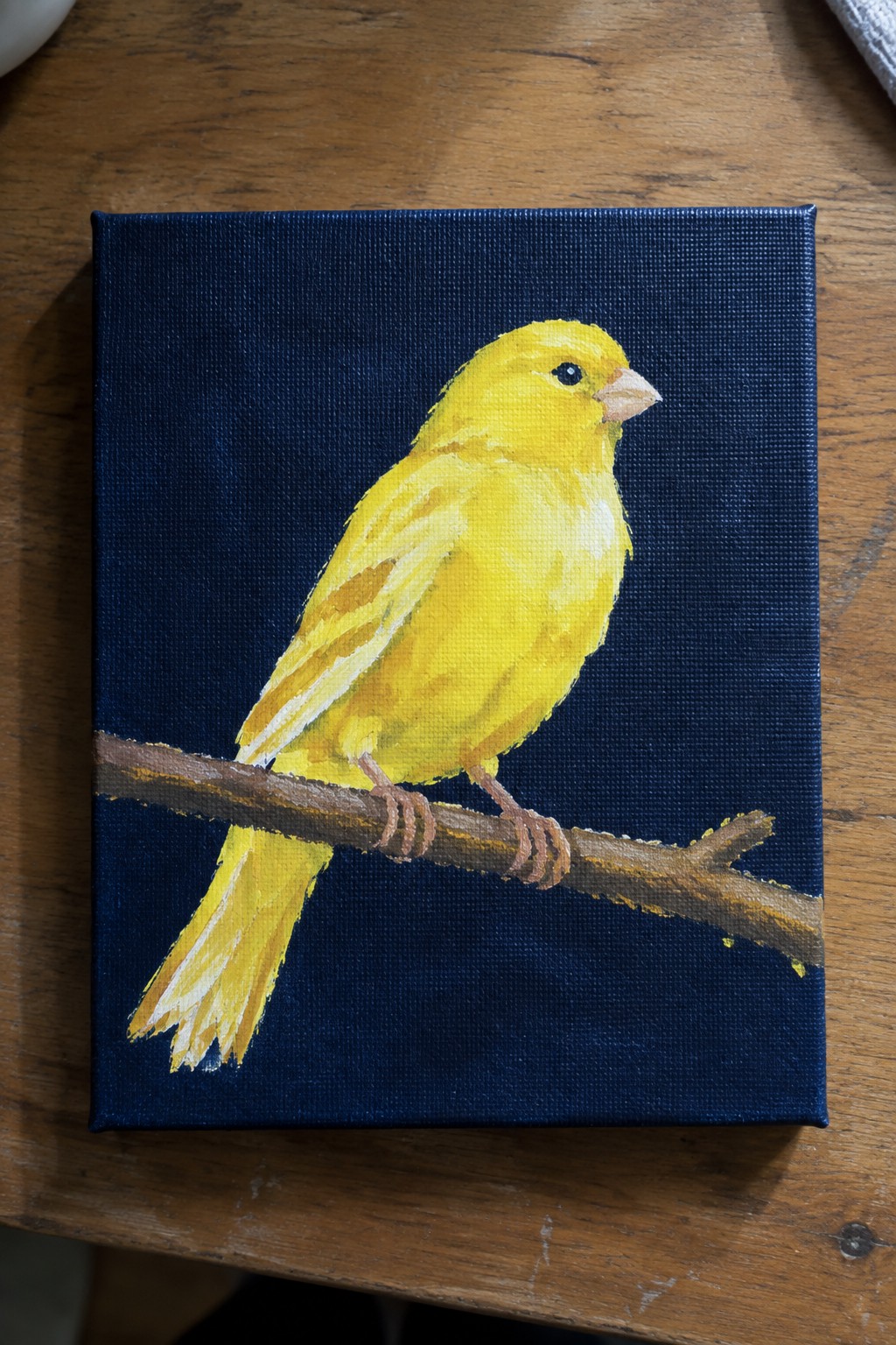 Yellow canary perched on branch against dark blue canvas on wooden table
