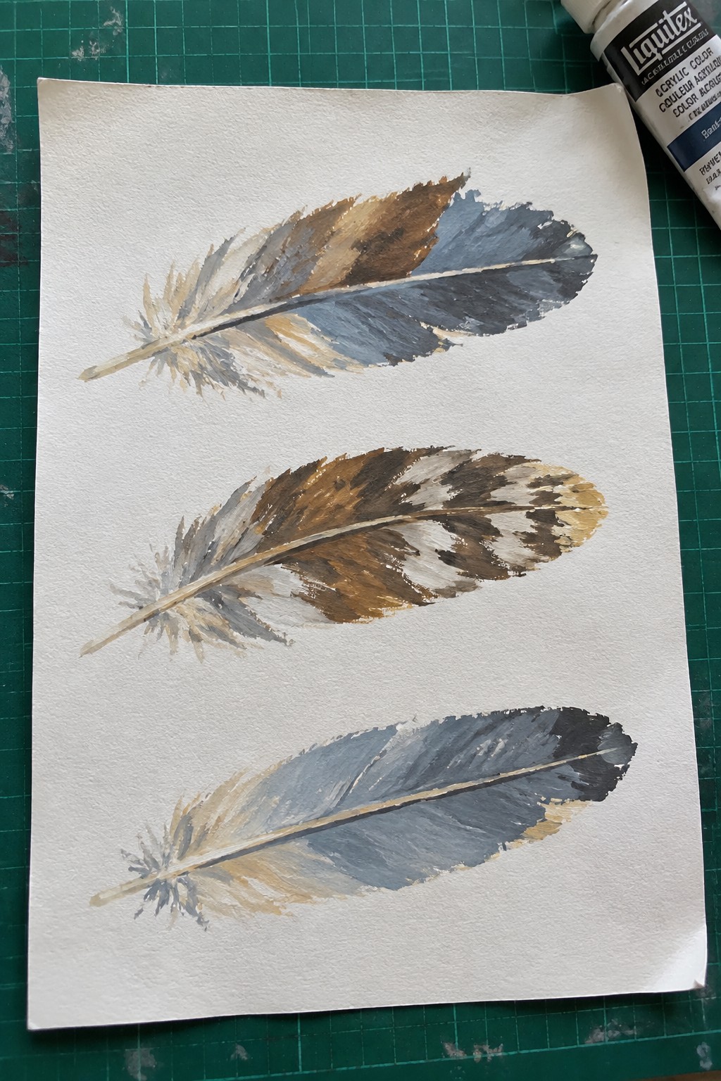 Three watercolor feathers in brown, blue, and gray on white paper with paint tube