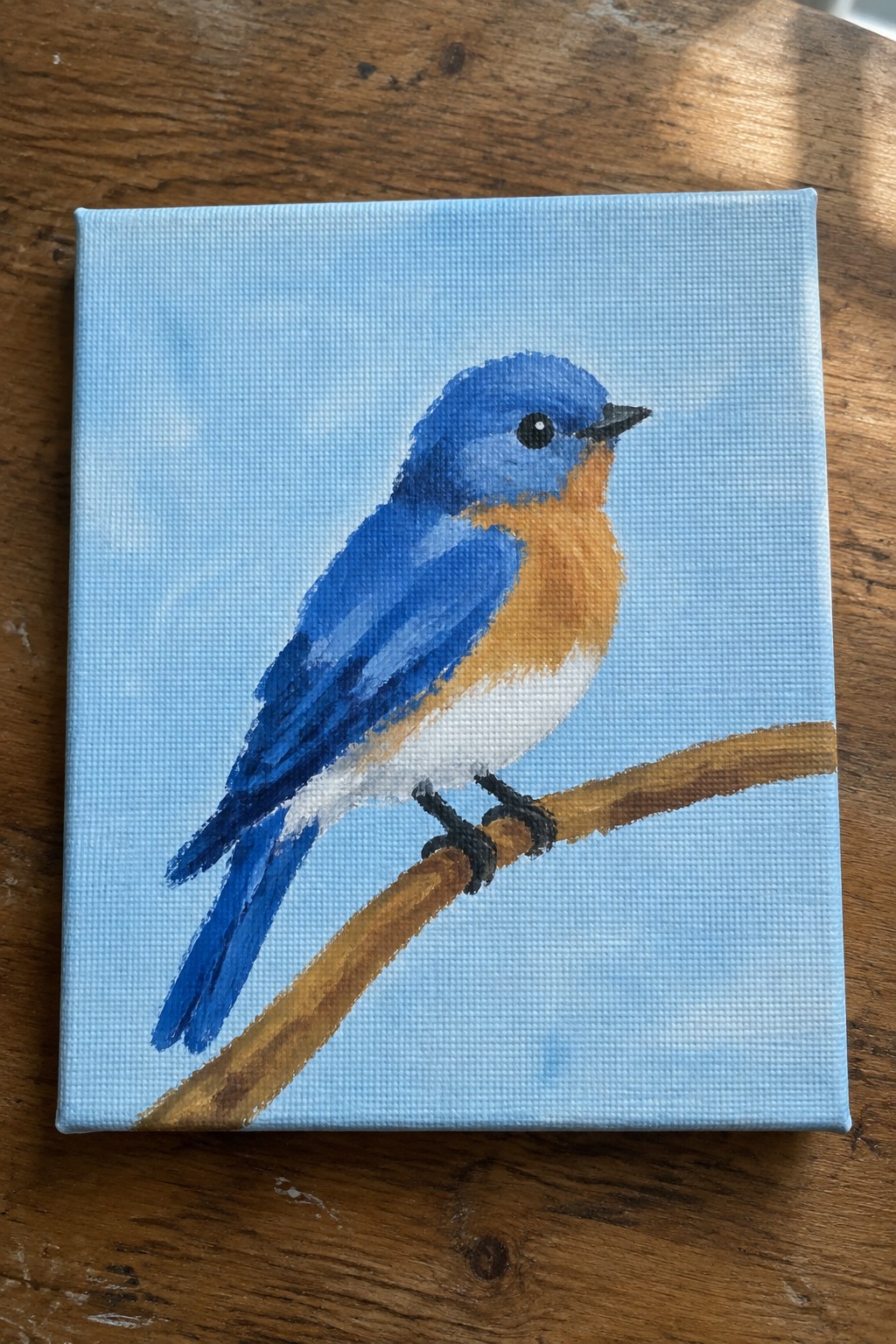 Bluebird with blue head and wings, orange breast, perched on branch against light blue background