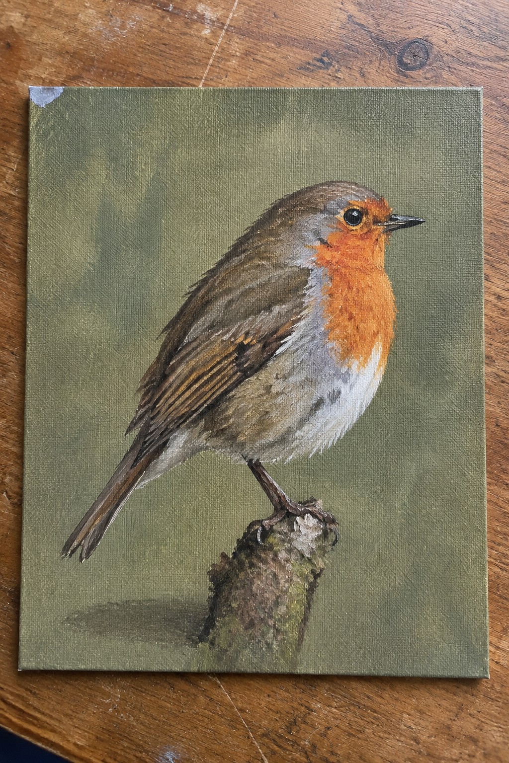 Realistic painting of robin with orange-red breast perched on mossy branch, green background