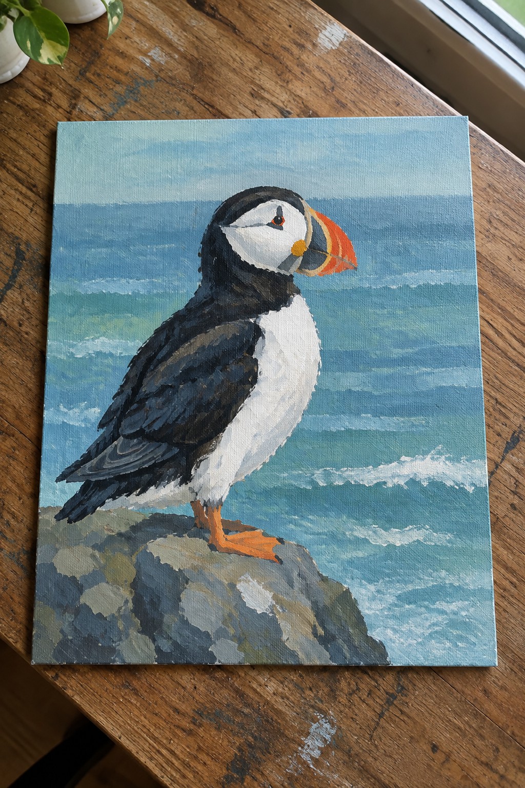 Puffin with black-and-white plumage and orange beak perched on seaside rock